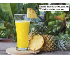 100% Natural High Quality Pineapple Fruit Juice