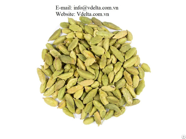 100% Fresh Cardamom From Viet Nam