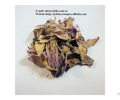 High Quality Pink Lotus Dried Flowers In Viet Nam