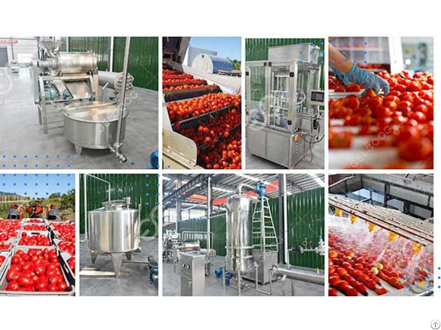 Automatic Tomatoes Processing Machine