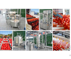 Automatic Tomatoes Processing Machine