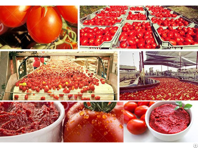 Complate Tomato Pulp Making Machine