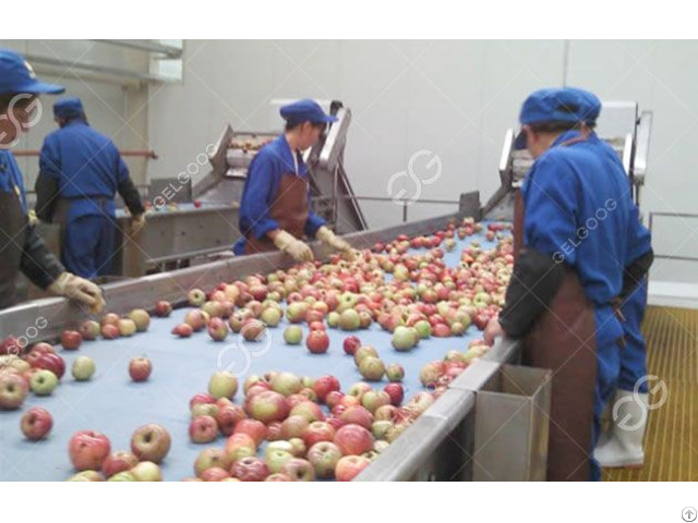 Automatic Apple Juice Processing Equipment