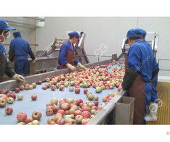 Automatic Apple Juice Processing Equipment