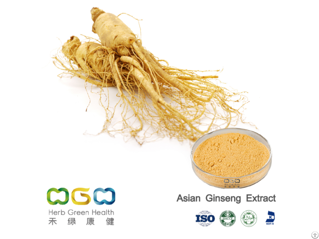 Panax Ginseng Root Extract 1 60 Percent Ginsenosides