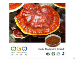 Reishi Mushroom Extract Beta Glucan 1 10 Percent 30 Percent Polysaccharide