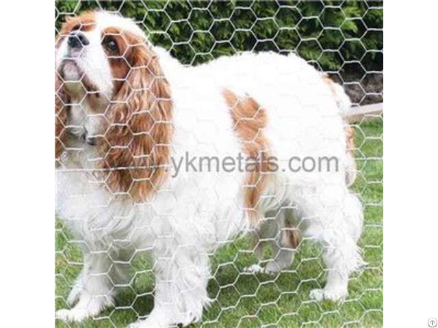 Electro Galvanized Hexagonal Wire Netting