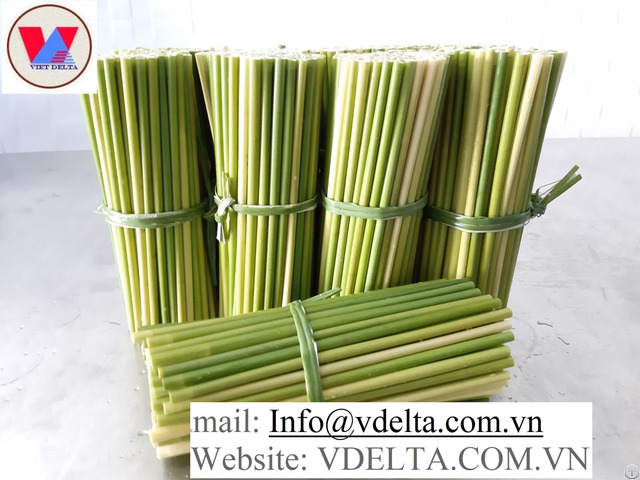 High Quality Bamboo Straw From Viet Nam