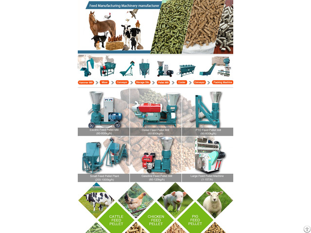 How To Achieve High Quality Feed Pellets