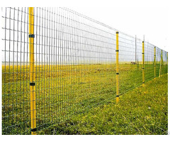 Euro Fence Supplier From China