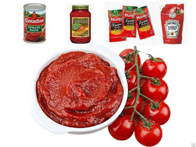 Industrial Tomato Paste Equipment Cost