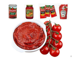 Industrial Tomato Paste Equipment Cost