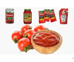 Stainless Steel Tomato Ketchup Machine Cost