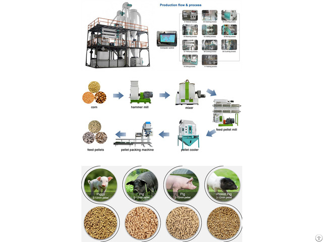 Pig Feed Pellets Production Process