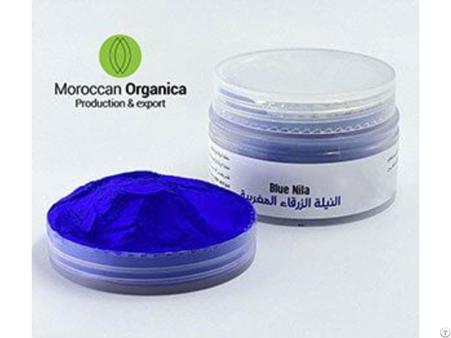 Moroccan Blue Nila Powder Wholesale