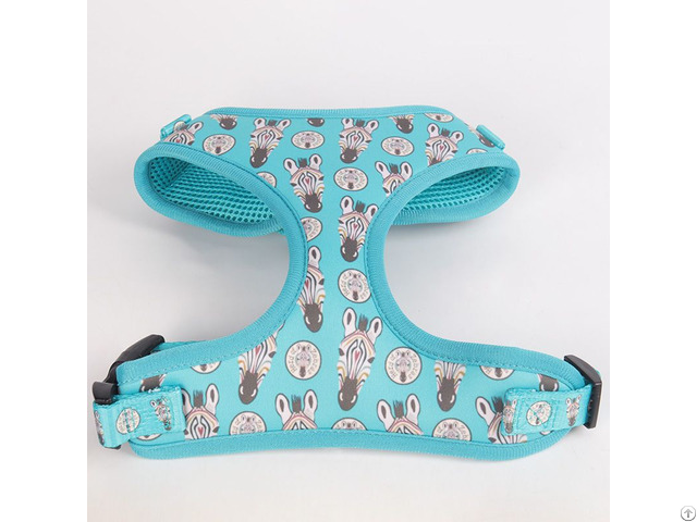 Dog Harness