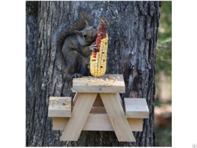 Wooden Squirrel Pinic Table Feeder