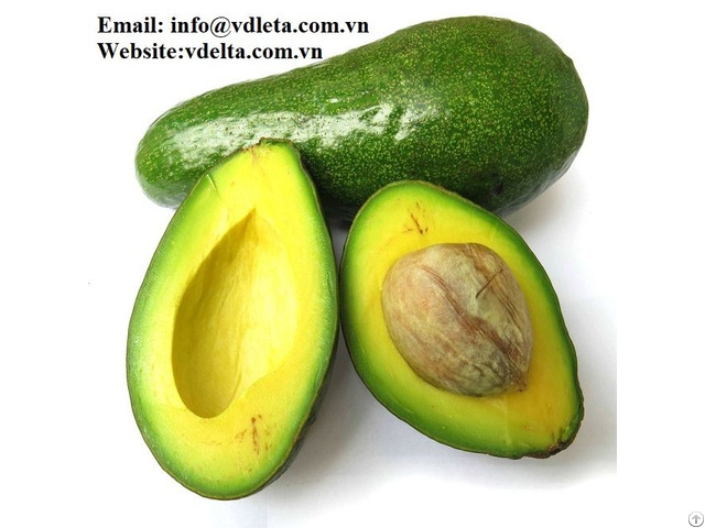 High Qualtiy Frozen Avocado Best Price