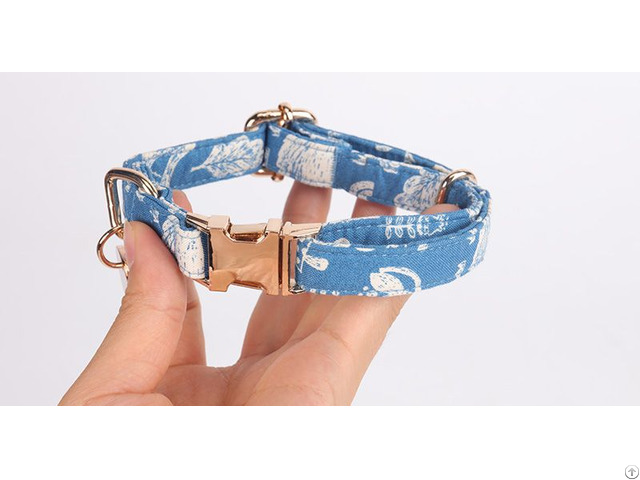 Okeypets Customized Strong Pet Collar For Dog