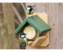 Wooden Butter Feeder For Bird
