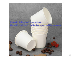 High Quality Biodegradable Cup