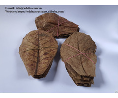Almond Dried Leaves