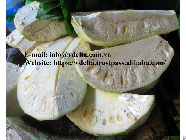 Frozen Young Jackfruit From Viet Nam