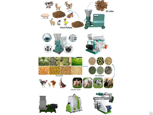 Poultry Feed Pellet Production Line Manufacturing Cattle Chicken Food Pellets