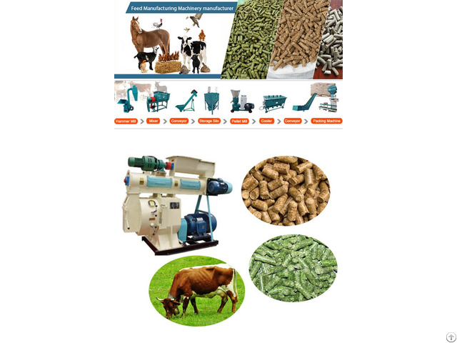 Cattle Feed Pellet Plant Machinery Manufacturer