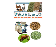 Cattle Feed Pellet Plant Machinery Manufacturer