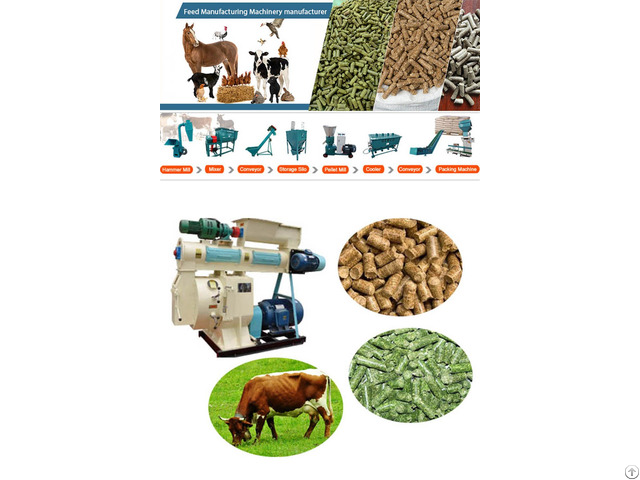 Feed Pellet Plant Machinery Manufacturer