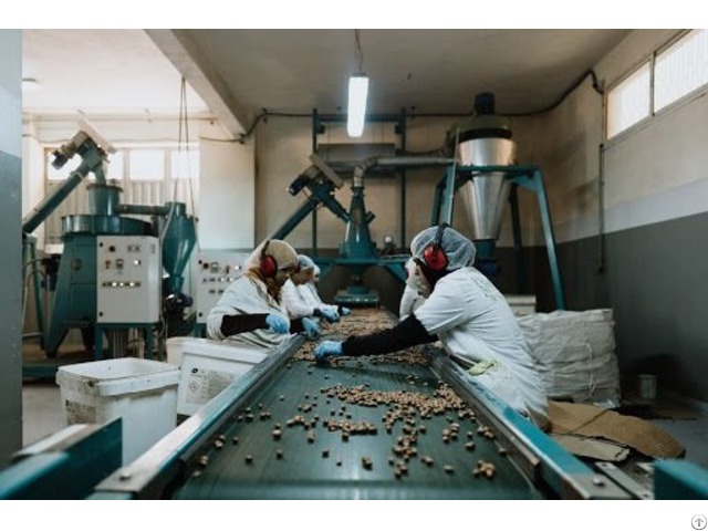 Culinary Argan Oil From Morocco