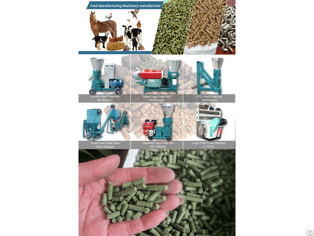 Poultry Feed Pelleting Process Of Food Pellet Plant