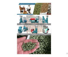 Poultry Feed Pelleting Process Of Food Pellet Plant