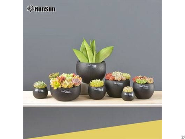 Black Cement Pot Succulent Desktop Flower Pots Wholesale