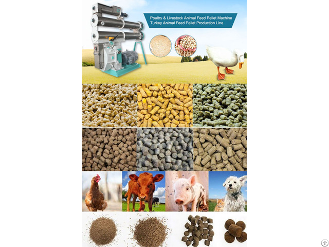 Animal Feed Machine Fusmar Ring Die Pellet Mill On Sale