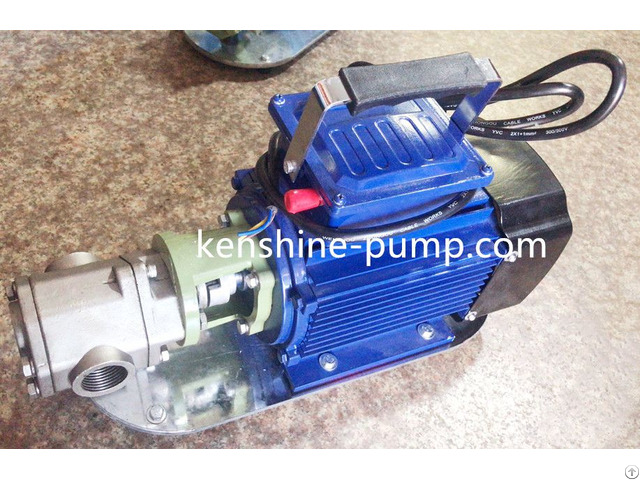 Portable Stainless Steel Gear Oil Pump