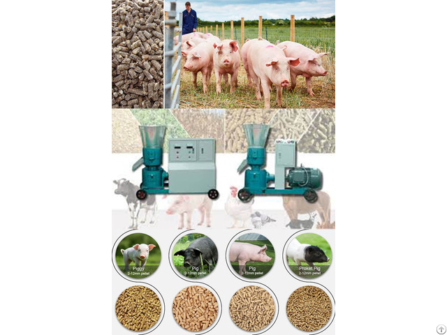 Poultry Feed Pellet Mill Machine Make Pig Food Pellets