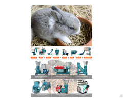 Animal Feed Pellet Mill Machine Make Rabbit Pellets