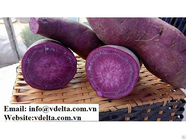 Vietnamese Sweet Potato Purple