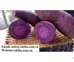 Vietnamese Sweet Potato Purple