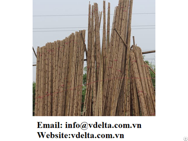 Vietnam Bamboo Poles For Construction