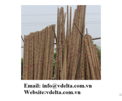 Vietnam Bamboo Poles For Construction