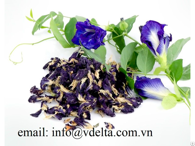 High Quality Dried Bean Flowers