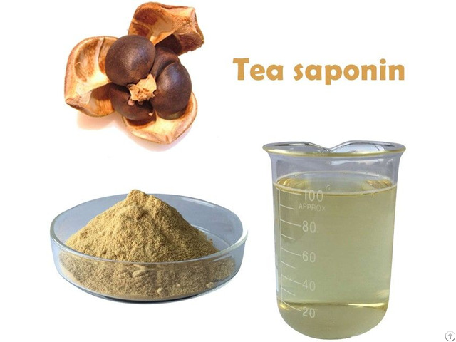 Tea Saponin Powder Camellia Seed Extract 75 Pct