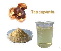 Tea Saponin Powder Camellia Seed Extract 75 Pct 