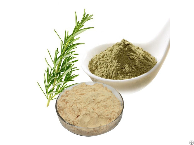 Rosemary Extract Carnosic Acid 20 Pct  50 Pct  60 Pct