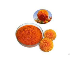 Marigold Extract Lutein 10 Pct  20 Pct  40 Pct 