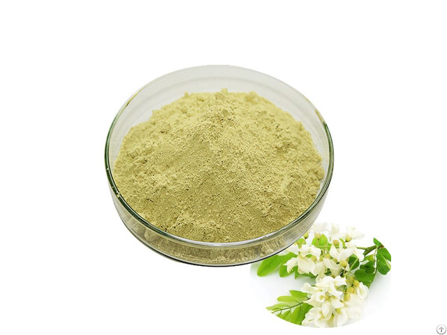 Sophora Japonica Extract Quercetin Rutin Powder 95 Pct  For Pharmaceuticals Health Supplement