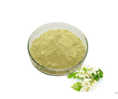 Sophora Japonica Extract Quercetin Rutin Powder 95 Pct  For Pharmaceuticals Health Supplement